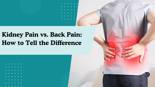 Kidney Pain vs. Back Pain How to Tell the Difference